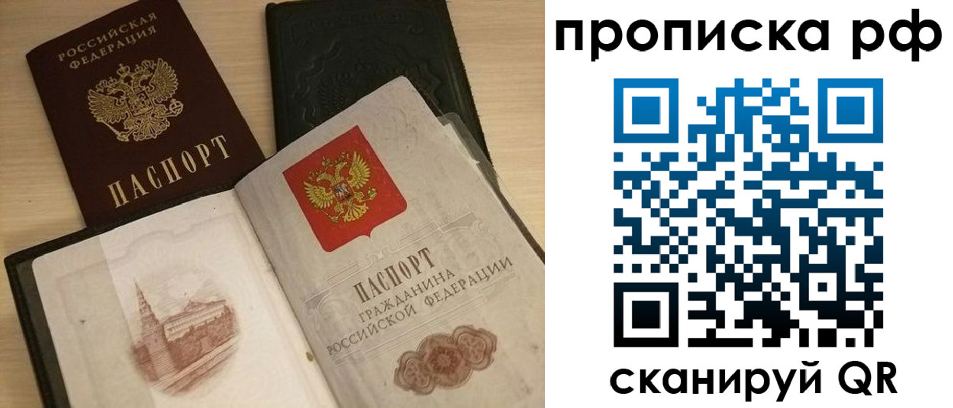 где прописаться в Елизово